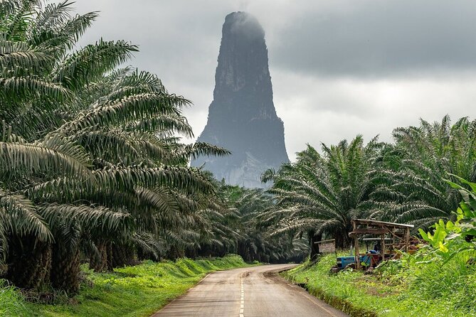 Private Tour On São Tomé Island - Tour Highlights