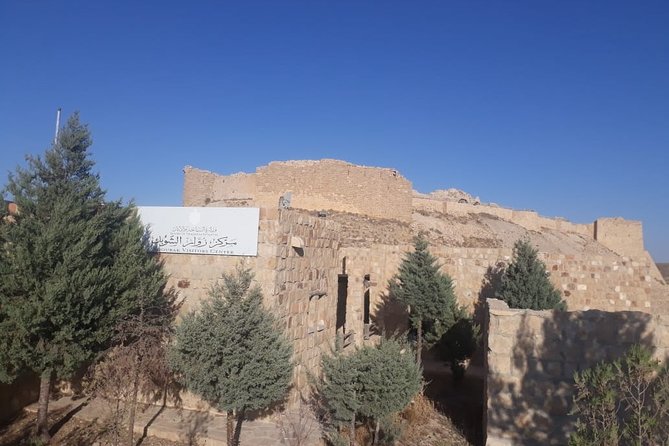 Private Tour Petra and Shobak Castle From Amman - Customer Reviews