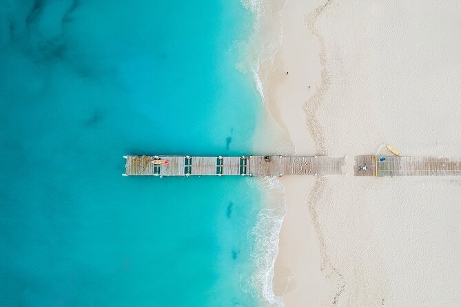 Private Tour Providenciales With Snorkeling and Iguana Island - Exploring Iguana Island