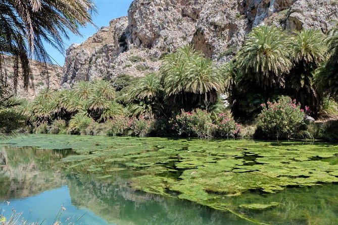 Private Tour Rethymno: Spili, Preveli, Kourtaliotiko, Old Town - Visiting Spili Village