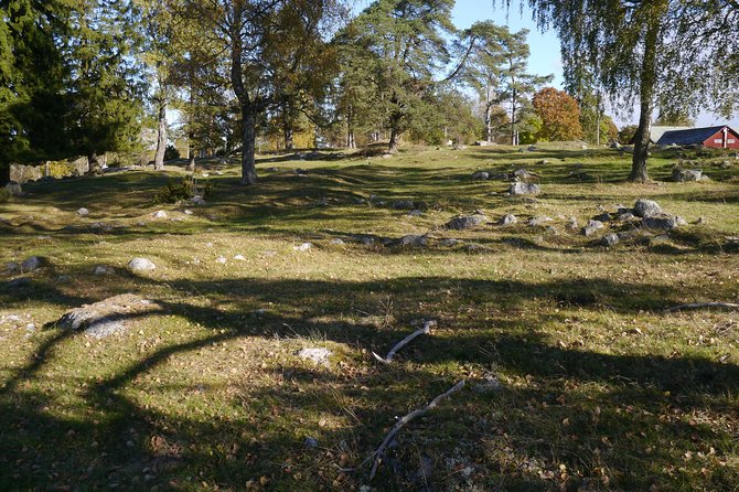 Private Tour: Swedish History Day Trip to World Heritage Candidate Markim-Orkesta From Stockholm - Included in the Tour
