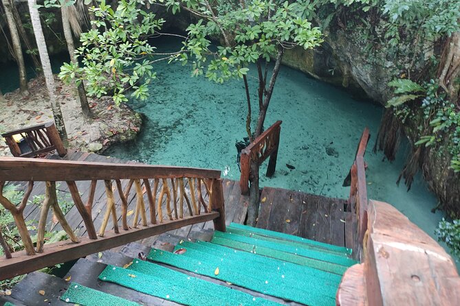 Private Tour The Best Cenotes in Tulum Riviera Maya - Customer Testimonials