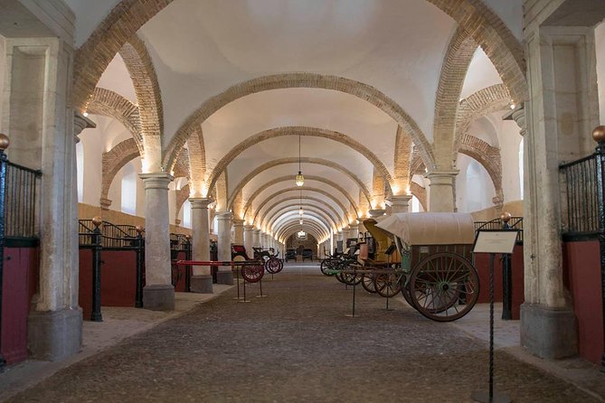 Private Tour: the Courtyards of Cordoba - Highlights of the Walking Tour