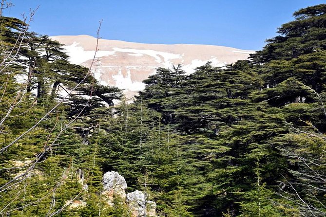 PRIVATE Tour to Cedars of God, Besharre & Qozhaya Valley - Meeting and Pickup