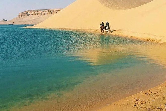 Private Tour to Fayoum Oasis, Valley of the Whales & Wadi Al Rian From Cairo. - Experiencing Wadi El Rian