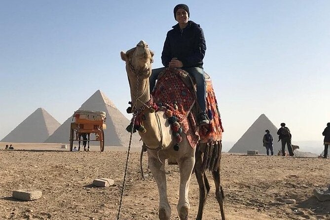 Private Tour to Giza Pyramids & Grand Museum From Alexandria Port - Transportation Information