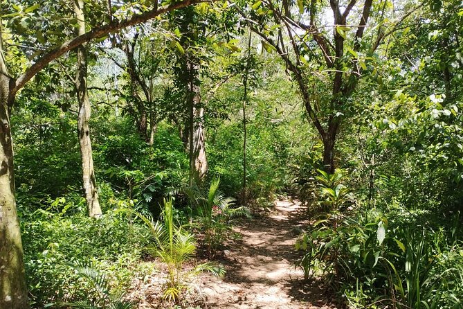 Private Tour to Jarabacoa Waterfalls From Santo Domingo - Tour Schedule