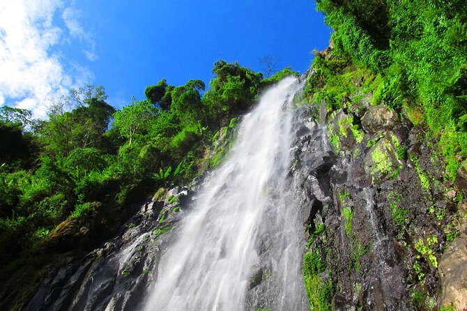 Private Tour to Materuni Waterfalls, Coffee Tour, Kikuletwa Hot Springs & Maasai - Inclusions and Amenities