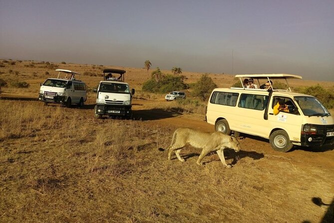 PRIVATE Tour to NAIROBI NATIONALPARK 45hrs Gamedrive 4*4 - Booking Process