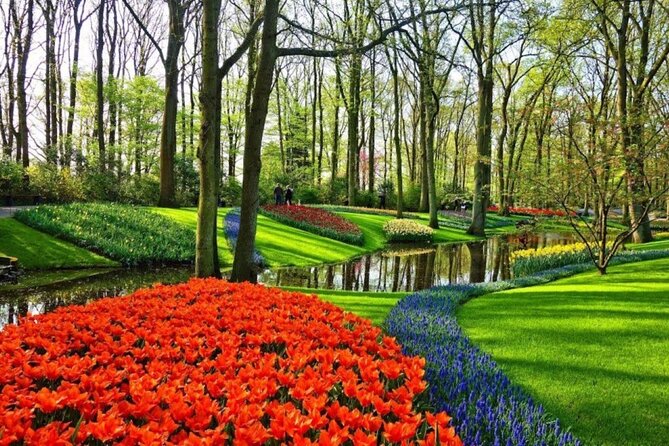 Private Tour to Tulips, Keukenhof, Windmills & Cheese Farm - Accessibility Features