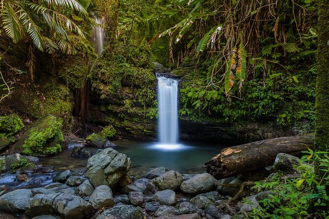 Private Tour to Waterfall in Puerto Rico - Tour Details