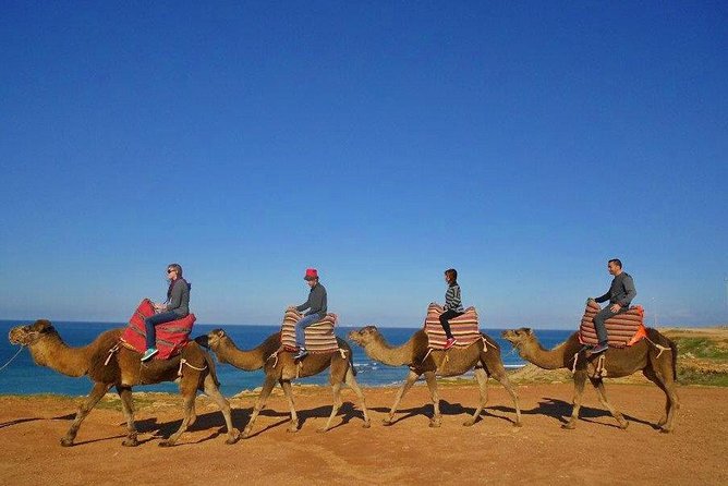 Private Tours From Malaga to Tangiers in Morocco for up to 8 Persons - Pickup Locations