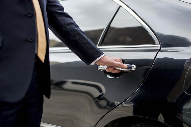 Private Transfer : Between Hamilton Airport OR Toronto Pearson Airport and City-One Way - Luggage and Accessibility