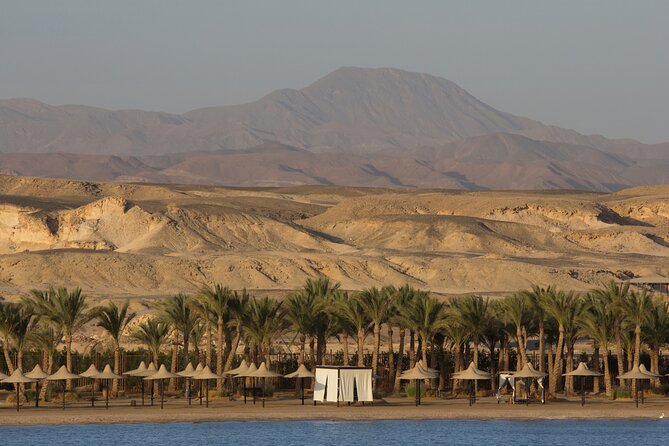 Private Transfer From Luxor to Marsa Alam or Vice Versa - Accessibility for All Travelers