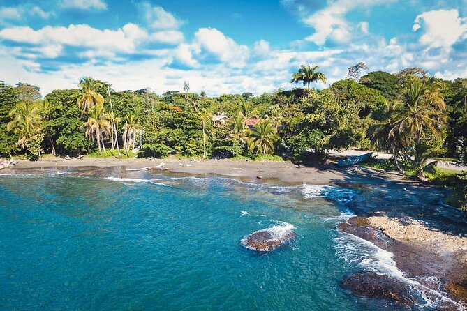 Private Transfer From San Jose Airport To Cahuita - Accessibility Information