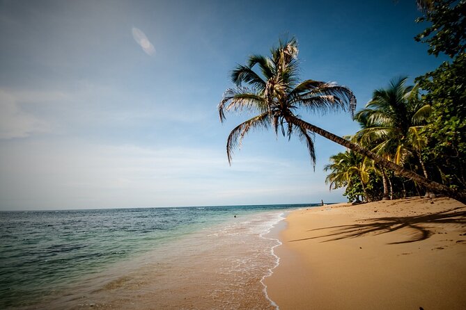 Private Transfer From San Jose City To Cahuita Costa Rica - Final Verdict On This Stay