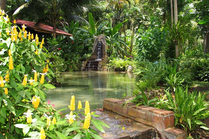 Private Transfer to Konoko Falls Botanical Gardens - Schedule