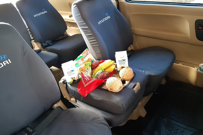Private Transportation Arenal to San Jose Airport - Accessibility and Participation