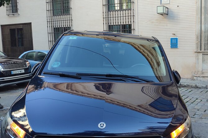 Private Transportation Ronda to Malaga for 6 Passengers - Reliable Transportation