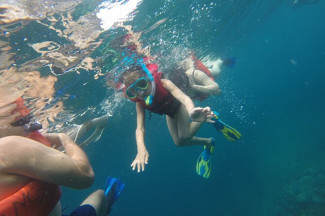 Private Trip: Snorkeling at Los Arcos & Colomitos Beach - Inclusions and Costs