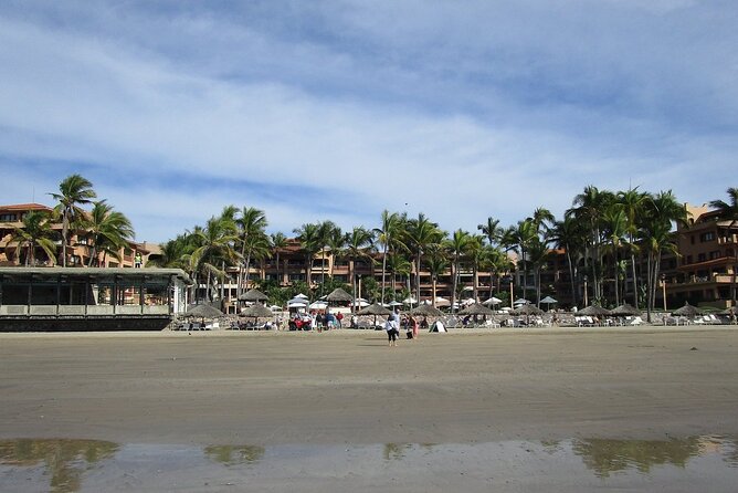 Private Van and Bilingual Local Driver - Tour Experience and Reviews