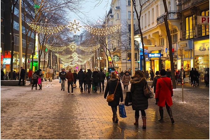 Private Vienna Tour From Budapest With Guide - Guided Sightseeing Highlights
