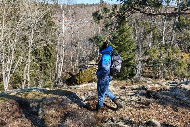 Private Viking Tour by a Lake + Swedish Nature Forest Walk, 90MIN - Tour Features