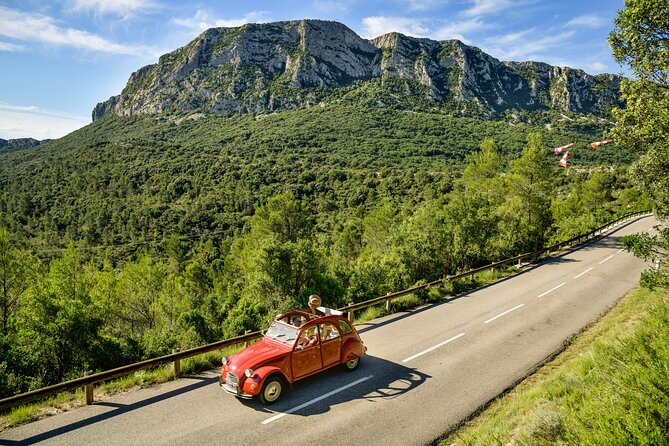 Private Vintage Car Half-Day Wine Tour in 2CV - Tour Experience