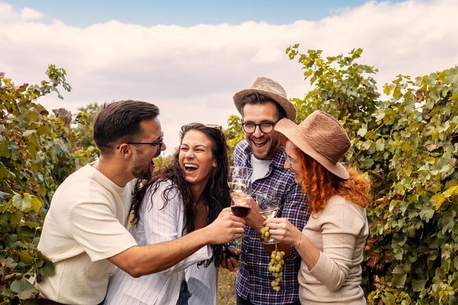 Private Walking Tour in Baden Neuweirs Vineyard - Participation Requirements