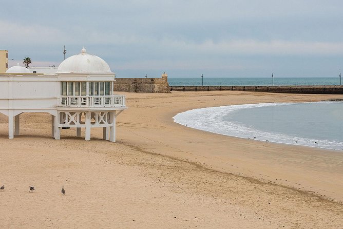 Private Walking Tour of Cadiz: Includes Tavira Tower - Accessibility and Requirements