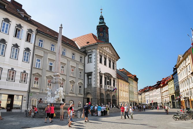 Private Walking Tour of Ljubljana Old Town - Getting Assistance