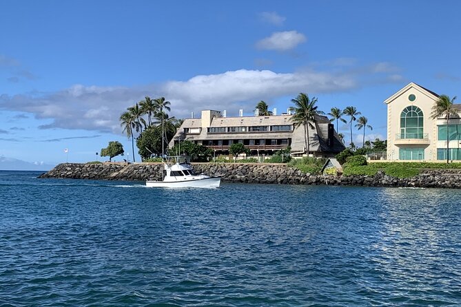 Private Whale Watching and Dolphin Excursion - Accessibility Information