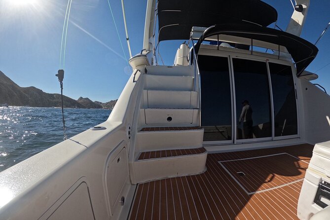 PRIVATE Whale Watching Tour and Snorkeling Tour Cabo San Lucas - Meeting and Pickup