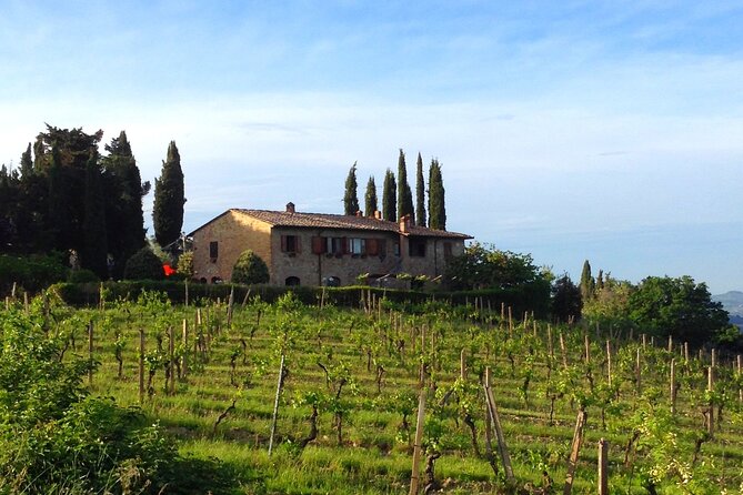Private Wine and Extra Virgin Olive Oil Tasting - Tasting Offerings and Selections