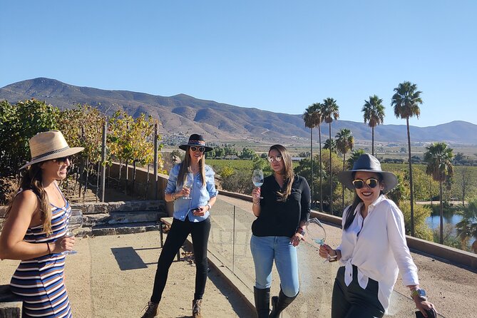 Private Wine Tasting Tour in Valle De Guadalupe - Pickup and Start Time