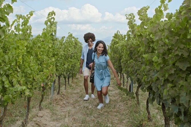Private Wine Tour in Niagara-On-The-Lake W/ Cheese & Charcuterie - Customer Experiences and Feedback