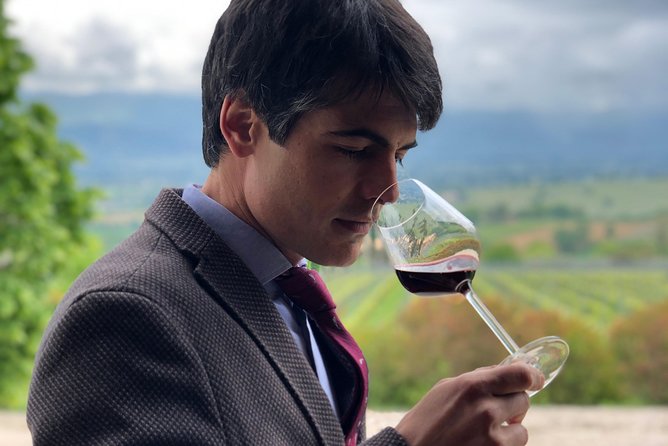 Private Wine Tour With a Sommelier From Assisi - Dinner Included in Montefalco - Tour Inclusions