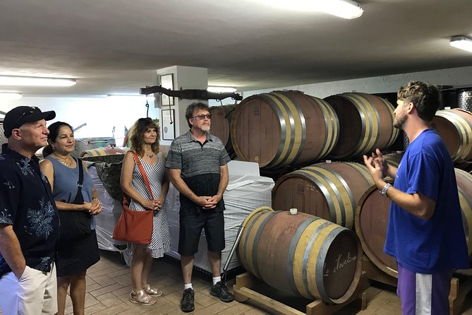 Private Wine Tour With Sommelier - the Magical Bolgheri (2 Wineries) - Customer Impressions