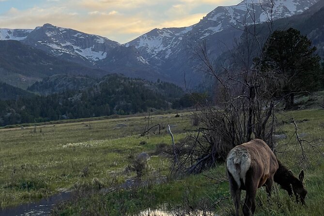 Private Winter Tour in Rocky Mountain National Park - Accessibility and Participation