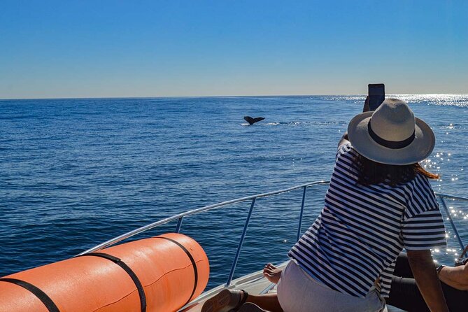 Private Yacht, Snorkeling or Sunset in Cabo San Lucas - Meeting and Pickup