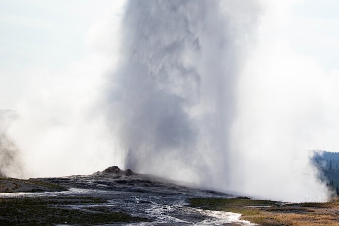 Private Yellowstone Highlights Tour - Accessibility Features