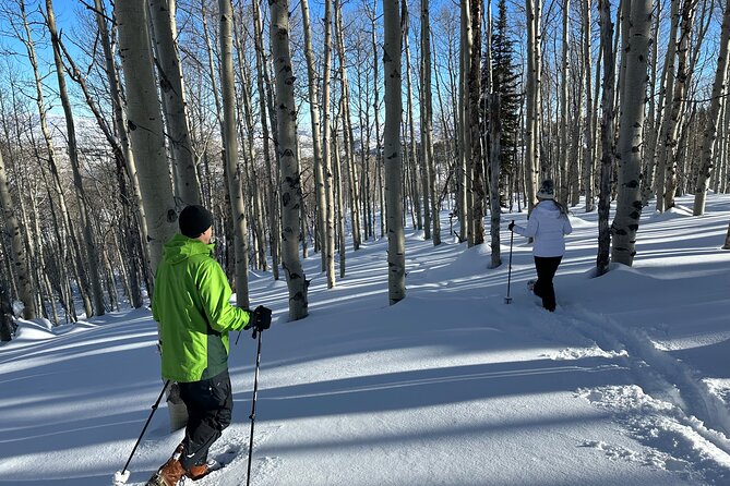 Privately Guided Snowshoe Experience - Accessibility Information
