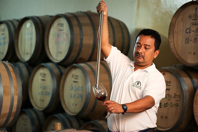 Process and Wine Tasting in Cellar Two Hemispheres - Puerto El Morro - Personalized Bottle and Gratuities