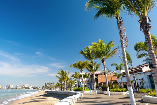 Puerto Vallarta City Tour - Tour Highlights and Experiences