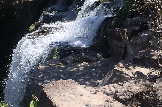 Pumas Rescue Center & Llanos Del Cortes Waterfall Swimming - Private Transportation and Accessibility