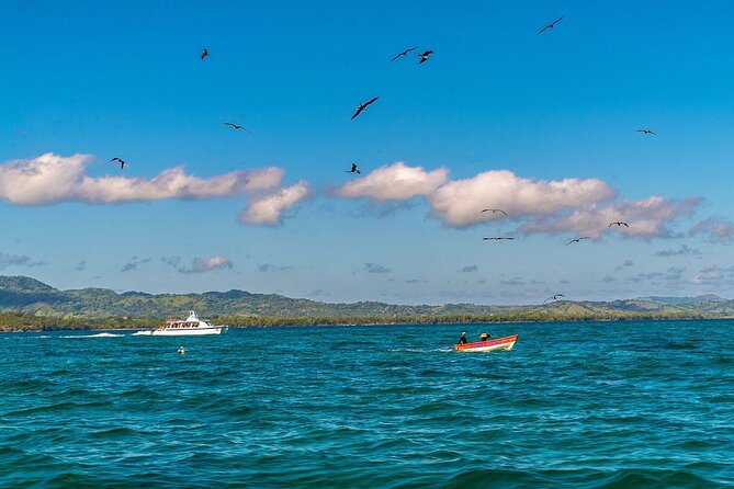 Punta Cana Guided Tour to Waterfall El Limon and Bacardi Island - Customer Reviews and Feedback