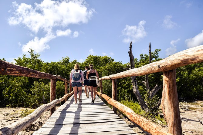 Punta Sur Eco Beach Park Electric Bike Tour in Cozumel - Inclusions and Amenities
