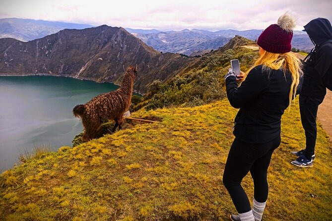 Quilotoa Lake Private Sightseeing Tour - Guest Reviews and Ratings