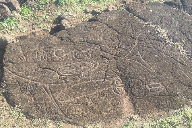 R1-NORTH COAST of RAPA NUI (Non-Cruise Visitors) - Health and Safety Considerations