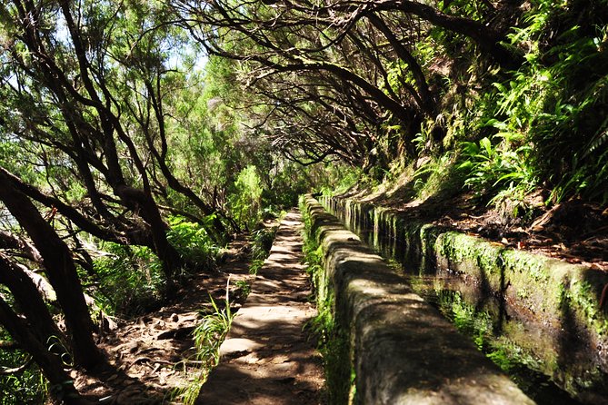 Rabaçal - Levada of the 25 Sources - Inclusions and Accessibility